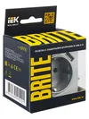 BRITE Socket 1gang grounded with protective shutters 16A with USB A+A 5V 3.1A RUSH10-2-BrA aluminum IEK5