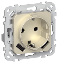FLITE Розетка 1-местная с заземлением с защитными шторками 16А с USB A+A 3,1А РСЮша11-0-ФлШ шампань IEK