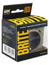 BRITE Socket outlet 1gang grounded with protective shutters 16A with USB A+C 18W RUSh11-1-BrSh champagne IEK7
