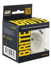 BRITE Socket outlet 1-gang with earthing with protective shutters 16A with USB A+A 5V 2.1A RYUSH10-1-BrZh pearl IEK6