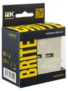 BRITE USB socket A+A 5V 3.1A RYU10-1-BrKr beige IEK6