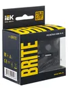 BRITE Розетка USB A+A 5В 3,1А РЮ10-1-БрГ графит IEK6