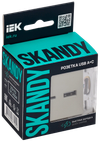 SKANDY Розетка USB A+C 18Вт SK-R13B бежевый IEK1