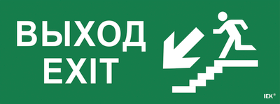 Этикетка самоклеящаяся 350х130мм "Выход/лестница вниз/фигура" IEK