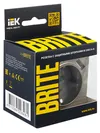BRITE Socket outlet 1gang grounded with protective shutters 16A with USB A+A 5V 3.1A RUSH10-2-BRSH champagne IEK6