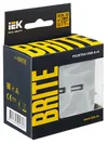 BRITE Розетка USB A+A 5В 3,1А РЮ10-1-БрА алюминий IEK6