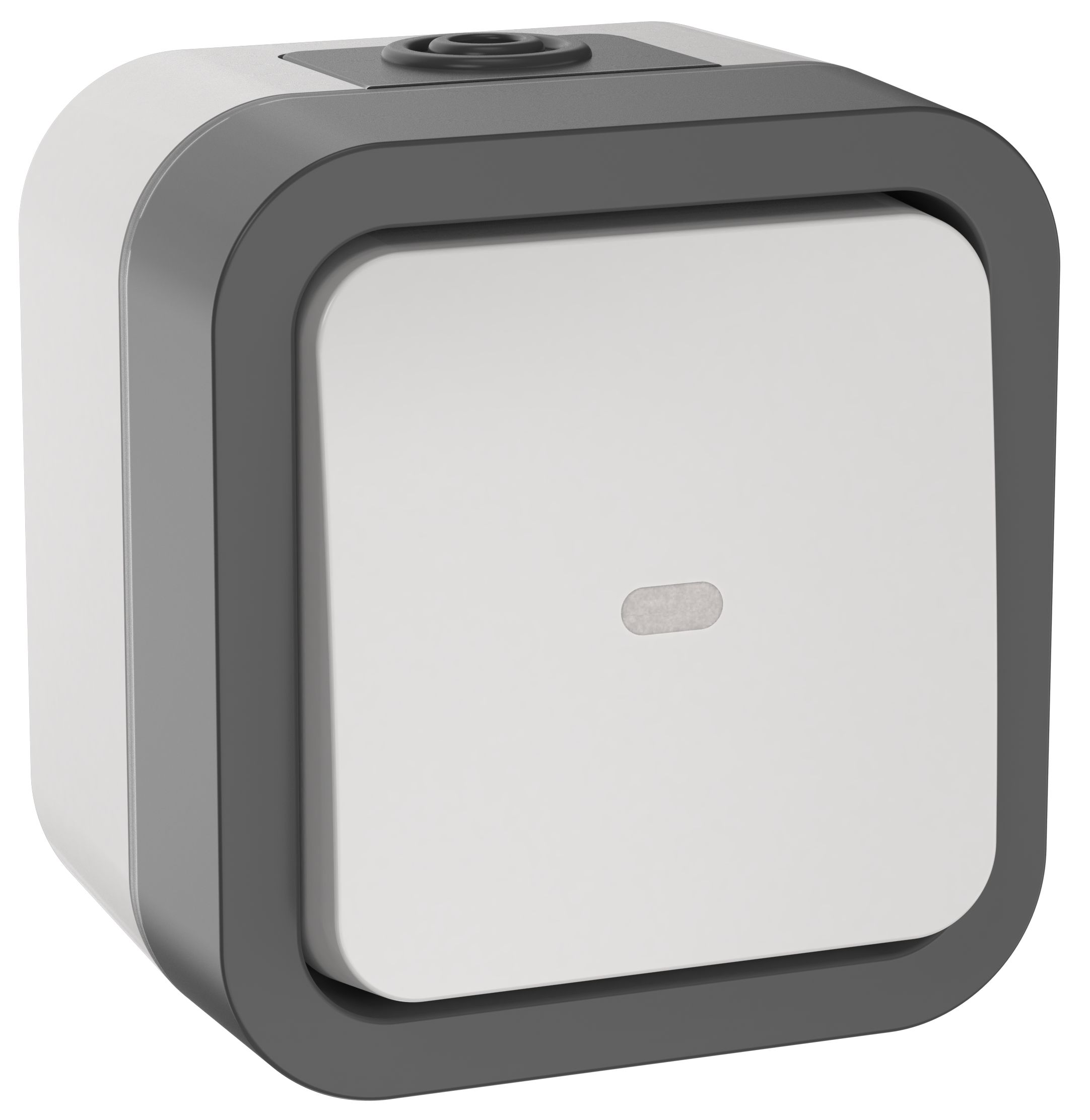 TORS Переключатель одноклавишный с индикацией 10А IP55 TS202 серо-белый IEK (TS-V10-1-10-55-K41)