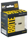 BRITE Socket USB A+C 18W Ryu11-1-BrKr Beige IEK6