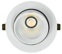 LIGHTING PRO LED crank lamp DVO 1822 35W 4000K IP20 circle white IEK