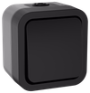 TORS Выключатель двухполюсный одноклавишный 10А IP55 TS111 графит IEK0