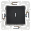 SKANDY Выключатель 1-клавишный с индикацией 10А SK-V07Bl черный IEK2