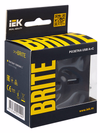 BRITE Розетка USB A+C 18Вт РЮ11-1-БрГ графит IEK6