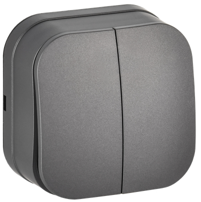 GLORY Выключатель 2-клавишный для открытой установки 10А ВС20-2-0-ХСм сталь матовый IEK