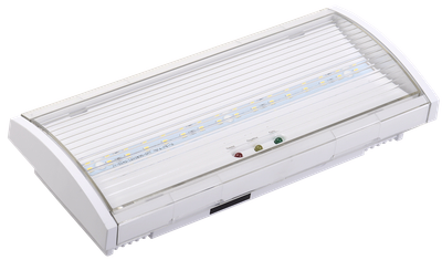 Светильник аварийный ДПА 5040-1 постоянный 1ч IP54 IEK