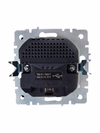 BRITE Розетка 1-местная с заземлением с защитными шторками 16А с USB A+C 18Вт РЮш11-1-БрЖ жемчуг IEK3