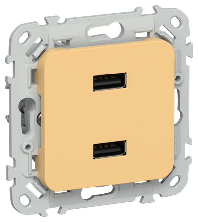 FLITE Розетка USB A+A 3,1А РЮ-2-ФлЗ золотарник IEK