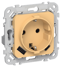 FLITE Розетка 1-местная с заземлением с защитными шторками 16А с USB A+C 20Вт РСЮшс11-0-ФлЗ золотарник IEK