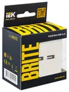 BRITE Socket USB A+A 5V 3.1A RYu10-1-BrJ pearl IEK6
