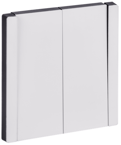 FORTE&PIANO Выключатель 2-клавишный 10А FP205M металл белый IEK