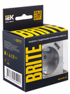 BRITE Розетка 1-местная с заземлением с защитными шторками 16А с USB A+A 5В 2,1А РЮш10-1-БрА алюминий IEK6