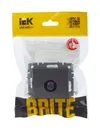 BRITE TV socket PTB11-0-BrS steel IEK6