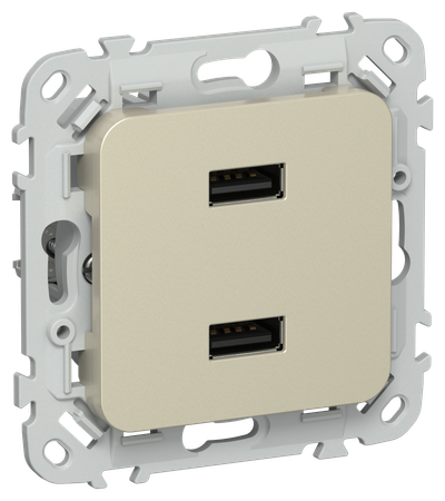 FLITE Розетка USB A+A 3,1А РЮ-2-ФлШ шампань IEK