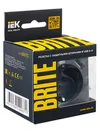 BRITE Socket outlet 1-gang with earthing with protective shutters 16A with USB A+A 5V 2.1A RYush10-1-BrM marengo IEK6