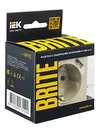 BRITE Socket outlet 1-gang with earthing with protective shutters 16A with USB A+A 5V 2.1A PYush10-1-BrKr beige IEK6