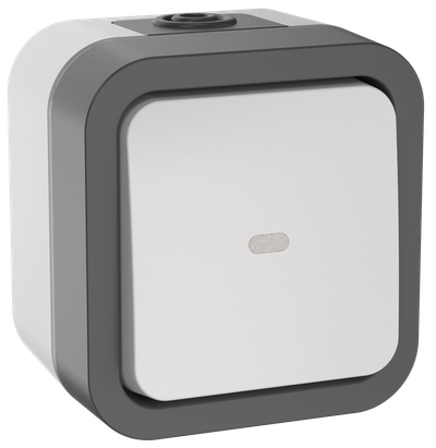 TORS Переключатель одноклавишный с индикацией 10А IP55 TS202 серо-белый IEK