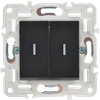 SKANDY Выключатель 2-клавишный с индикацией 10А SK-V09Bl черный IEK2