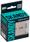 SKANDY Розетка USB A+C 3,1А SK-R14Sa песочный IEK1