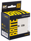 BRITE Розетка USB A+A 5В 3,1А РЮ10-1-БрЖ жемчуг IEK6
