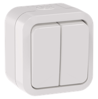 TORS Выключатель двухклавишный 10А IP55 TS305 белый IEK