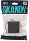 SKANDY Switch 2-gang 10A SK-V04T titanium IEK1