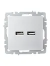 BRITE USB socket A+A 5V 3.1A RYU10-1-BrA aluminum IEK1