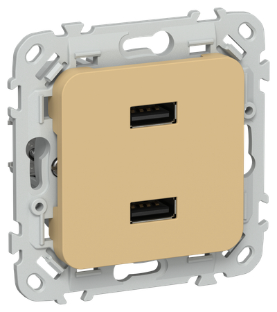 FLITE Розетка USB A+A 3,1А РЮ-2-ФлШм шамуа IEK