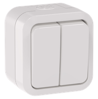 TORS Выключатель двухклавишный проходной 10А IP55 TS325 белый IEK
